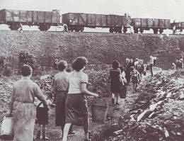Lohnend war der Kohlenklau an den Bahndämmen, an denen die langen Züge ohne ausreichende Wachmannschaften standen.